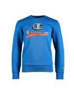 Champion Legacy Crewneck Sweatshirt PS/GS