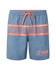 O'Neill Cali Stripe Swim Shorts M